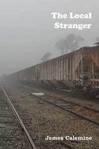 The Local Stranger Short Stories - James Calemine - Libro in lingua inglese - Snake Nation Press, Inc. - Lage Prijs