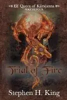 Korting Trial of Fire - Stephen H King - Libro in lingua inglese - Dragon Tale Publishing -