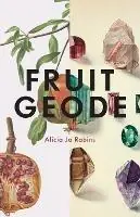 Betrouwbaar Fruit Geode - Alicia Jo Rabins - Libro in lingua inglese - Augury Books -