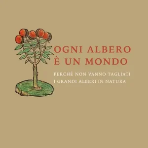 Voordeelprijs Ogni albero è un mondo. Perché non vanno tagliati i grandi alberi in natura