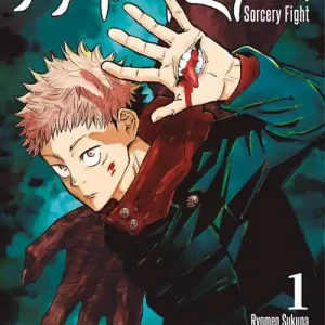 Jujutsu Kaisen. Sorcery Fight vol. 1 Koop Online