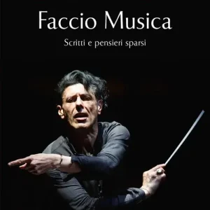 Snelle Levering Faccio Musica. Scritti e pensieri sparsi