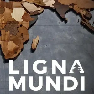 Finale Uitverkoop Lignamundi. Identificazione, caratteristiche ed usi dei legni del mondo