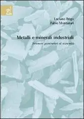 Metalli e minerali industriali. Parametri geominerari ed economici Actieprijs