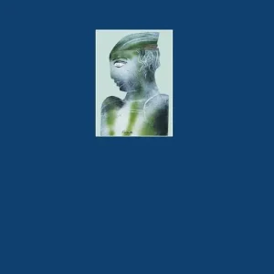 Nieuw Anima etrusca. La fortuna del Progetto Etruschi