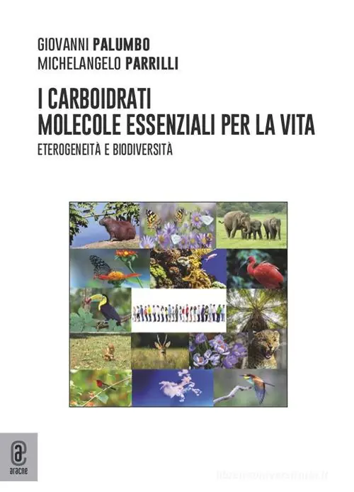 I carboidrati molecole essenziali per la Vita. Eterogeneità e biodiversità Finale Uitverkoop