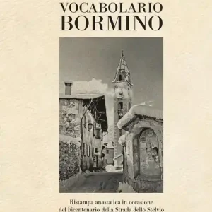 Vocabolario bormino. Ristampa anastatica in occasione del bicentenario della Strada dello Stelvio Hete Deal
