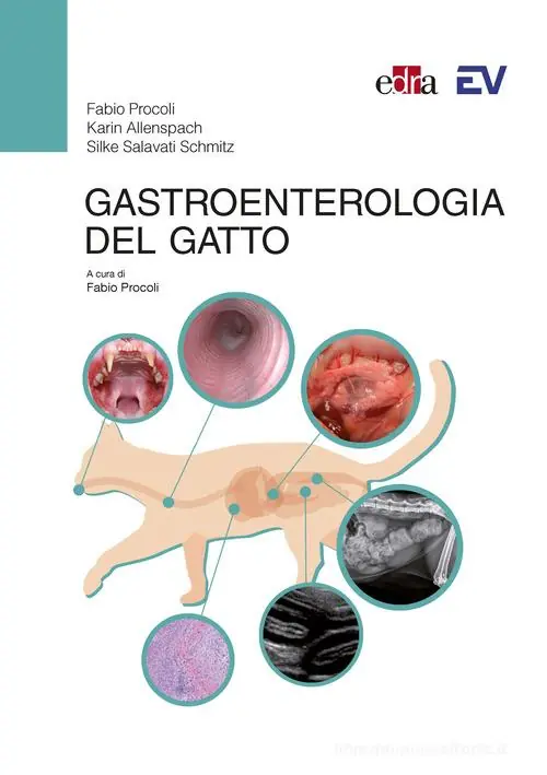 Gastroenterologia del gatto Hete Deal