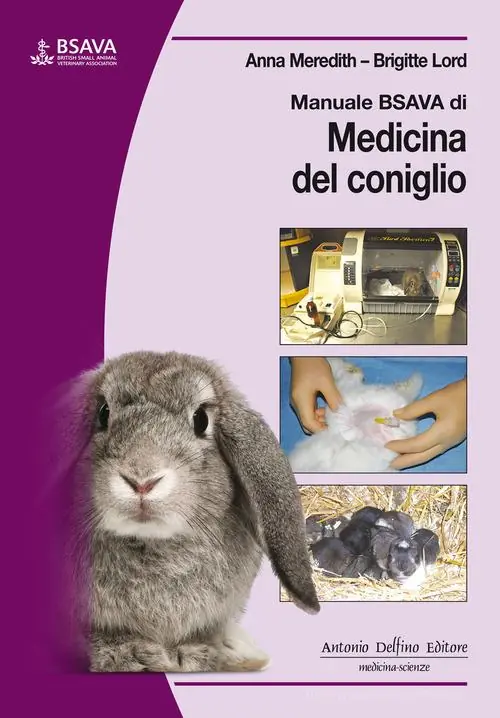 Betaalbaar Manuale BSAVA di medicina del coniglio