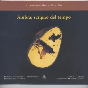 Shop Nu Ambra scrigno del tempo